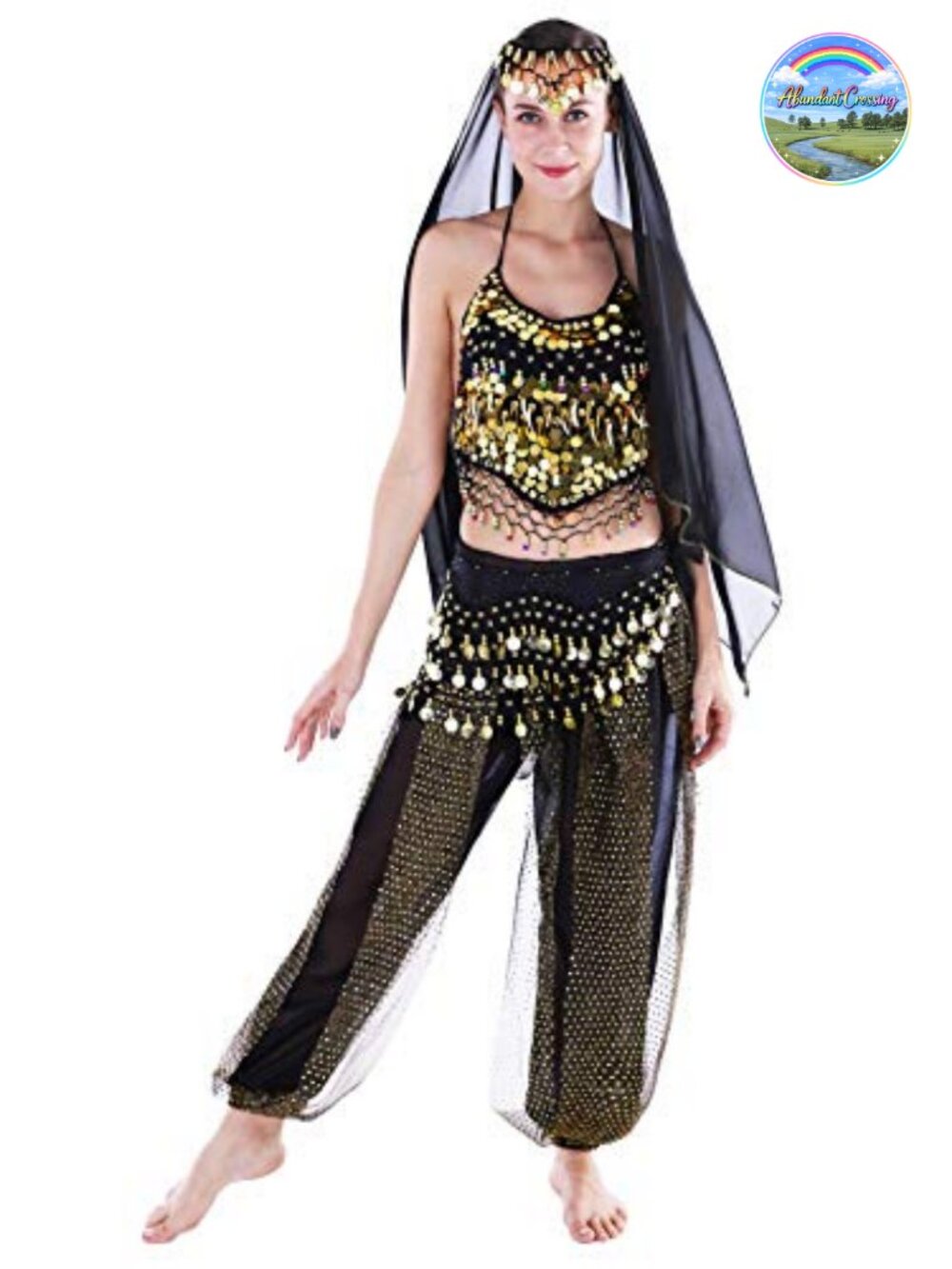 Belly Dance Costume Set Princess Genie Outfit Halloween Harem Pants